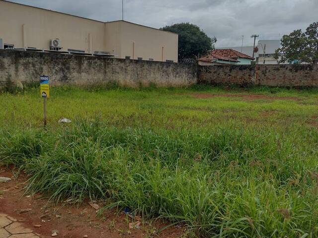 Área para Venda em Bela Vista de Goiás - 4