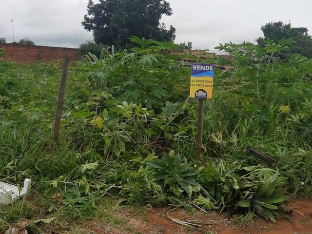 #323 - Área para Venda em Bela Vista de Goiás - GO - 1