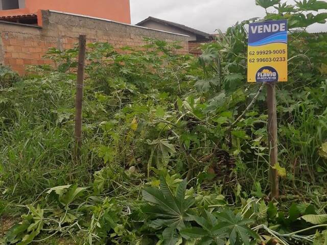 #323 - Área para Venda em Bela Vista de Goiás - GO - 2