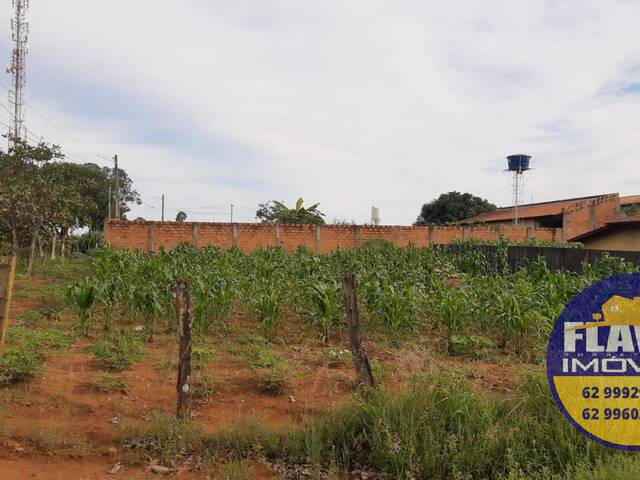 #330 - Área para Venda em Bela Vista de Goiás - GO - 2