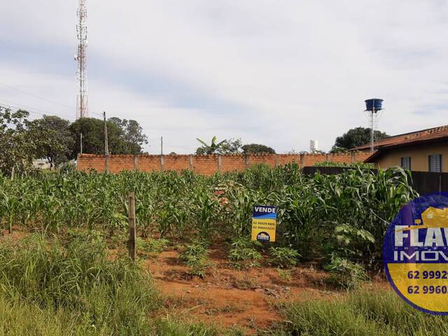 #330 - Área para Venda em Bela Vista de Goiás - GO - 1