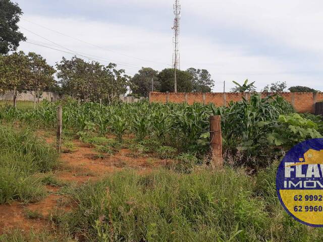 #330 - Área para Venda em Bela Vista de Goiás - GO - 3