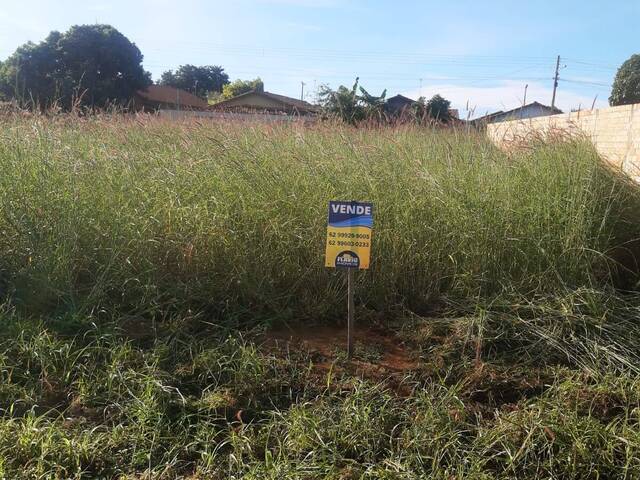 Área para Venda em Bela Vista de Goiás - 4