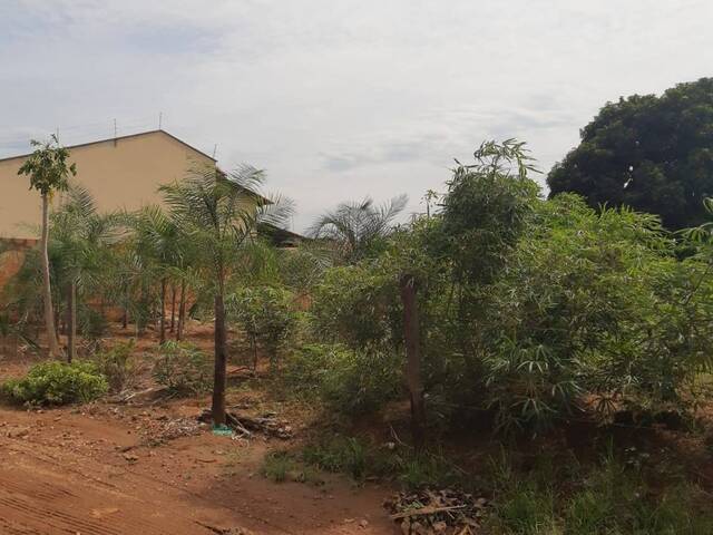 #445 - Área para Venda em Bela Vista de Goiás - GO - 2