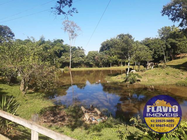 #456 - Chácara para Venda em Bela Vista de Goiás - GO - 1