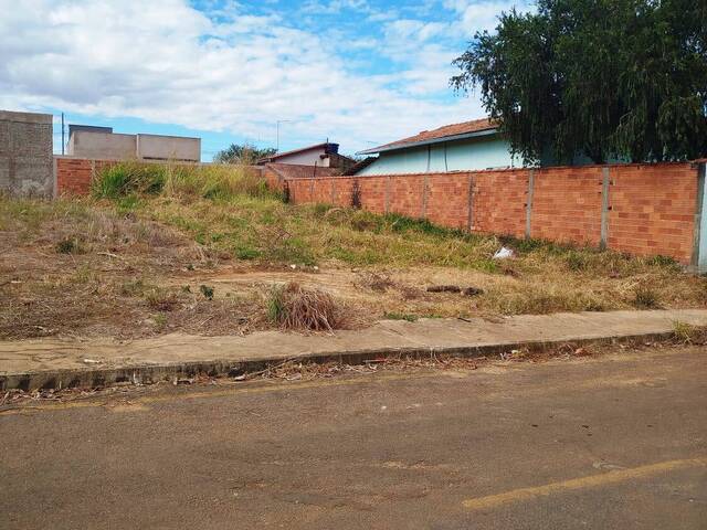 #485 - Área para Venda em Bela Vista de Goiás - GO - 3