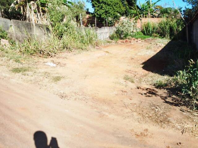 #487 - Área para Venda em Bela Vista de Goiás - GO - 2