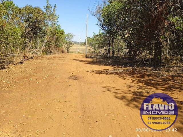 #504 - Área para Venda em Bela Vista de Goiás - GO - 3