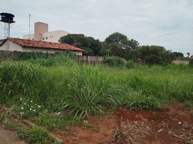 #513 - Área para Venda em Bela Vista de Goiás - GO - 2