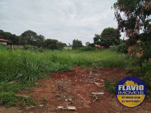 #513 - Área para Venda em Bela Vista de Goiás - GO - 3