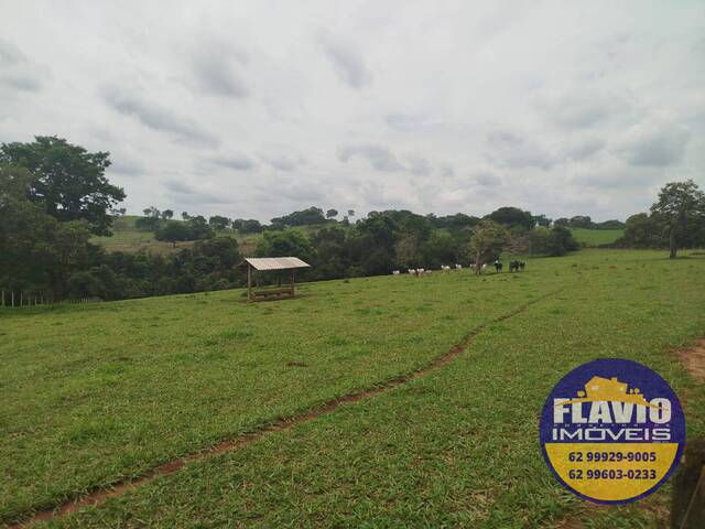 #517 - Chácara para Venda em Bela Vista de Goiás - GO - 3