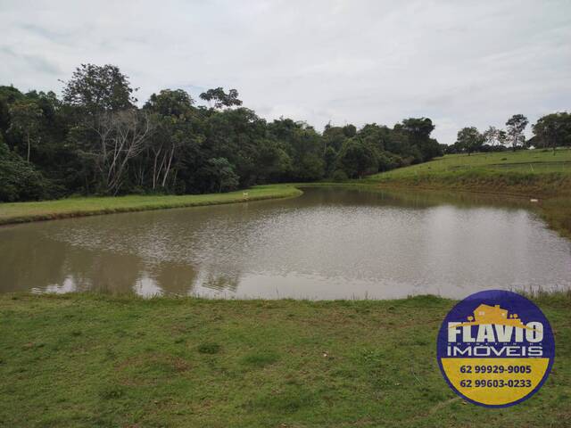 #517 - Chácara para Venda em Bela Vista de Goiás - GO - 2