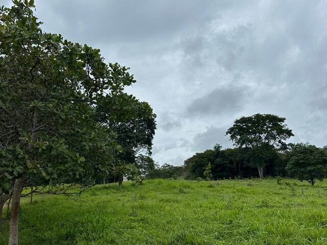 #522 - Chácara para Venda em Bela Vista de Goiás - GO - 2