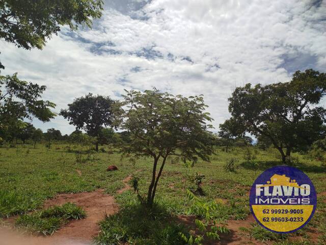 #530 - Área para Venda em Bela Vista de Goiás - GO - 3