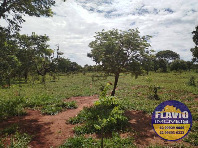 Área para Venda em Bela Vista de Goiás - 4