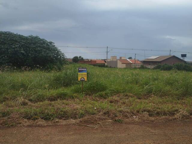 Venda em ARMANDO ANTÔNIO - Bela Vista de Goiás