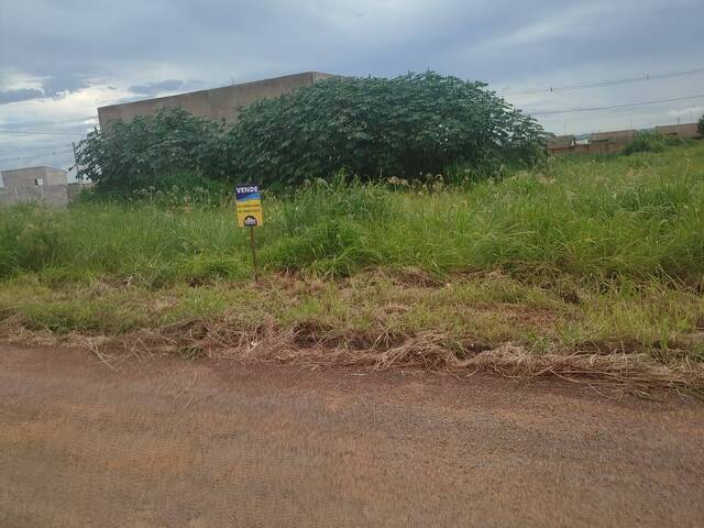 #532 - Área para Venda em Bela Vista de Goiás - GO - 3