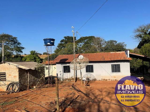 #540 - Chácara para Venda em Bela Vista de Goiás - GO - 2