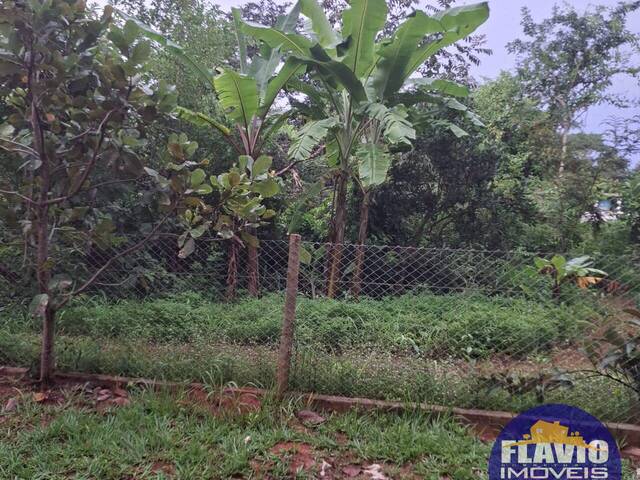 #545 - Área para Venda em Bela Vista de Goiás - GO - 2