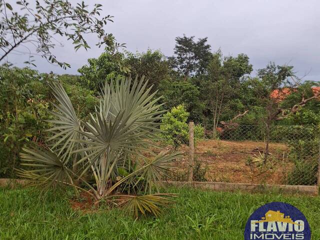 #545 - Área para Venda em Bela Vista de Goiás - GO - 3