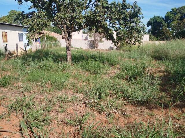 #547 - Área para Venda em Bela Vista de Goiás - GO - 2