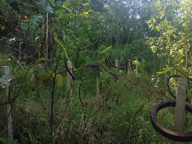 #548 - Chácara para Venda em Bela Vista de Goiás - GO - 3