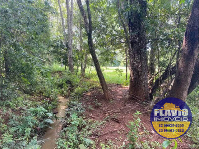#548 - Chácara para Venda em Bela Vista de Goiás - GO - 1