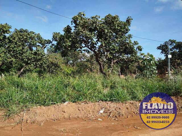 #552 - Área para Venda em Bela Vista de Goiás - GO - 1
