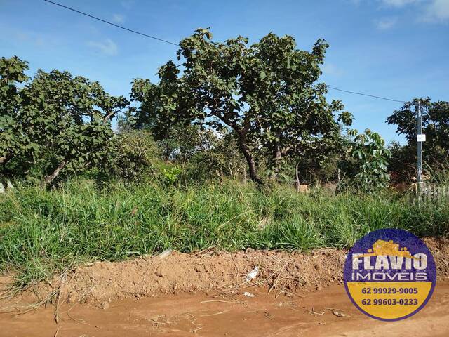 #552 - Área para Venda em Bela Vista de Goiás - GO - 2
