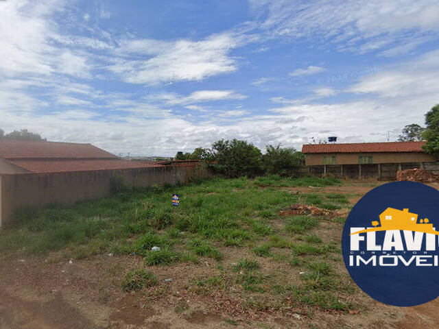 #559 - Área para Venda em Bela Vista de Goiás - GO - 2