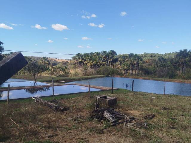 #574 - Chácara para Venda em Bela Vista de Goiás - GO - 2