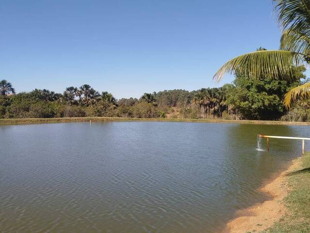#574 - Chácara para Venda em Bela Vista de Goiás - GO - 1