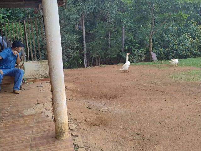 #581 - Chácara para Venda em Bela Vista de Goiás - GO - 2