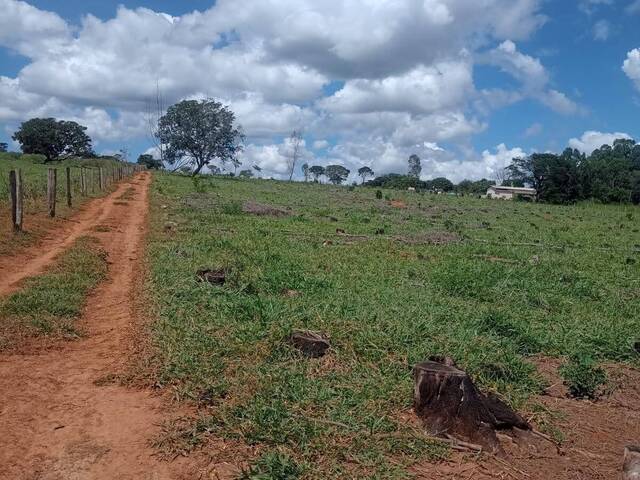 #581 - Chácara para Venda em Bela Vista de Goiás - GO - 3