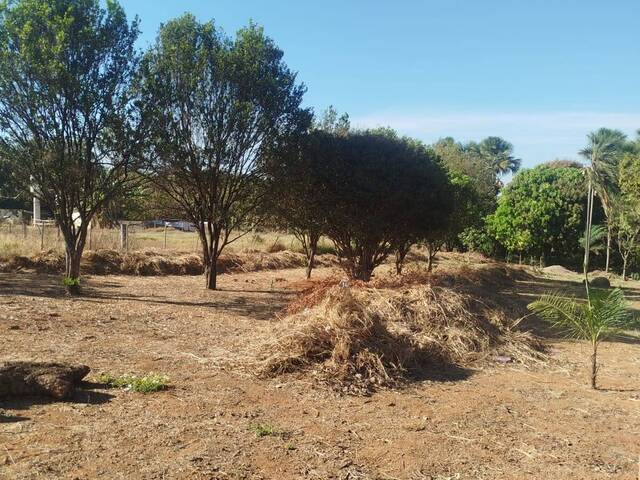 #583 - Área para Venda em Bela Vista de Goiás - GO - 2