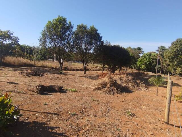 #583 - Área para Venda em Bela Vista de Goiás - GO - 1