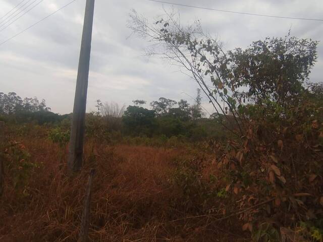 #585 - Área para Venda em Bela Vista de Goiás - GO - 3