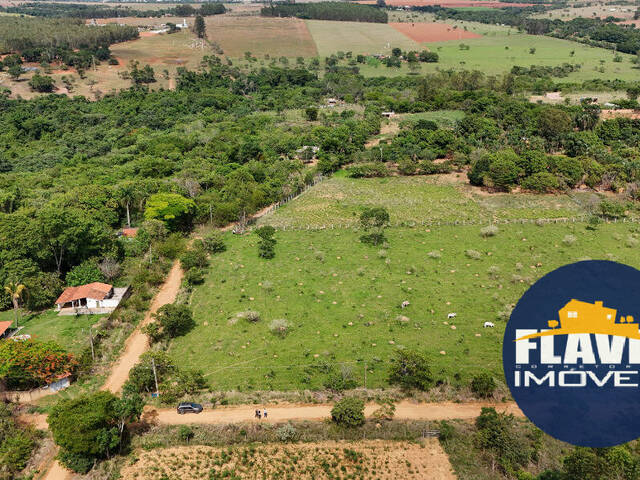#597 - Área para Venda em Bela Vista de Goiás - GO - 2
