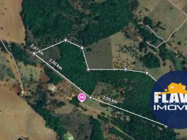 #604 - Chácara para Venda em Bela Vista de Goiás - GO - 1