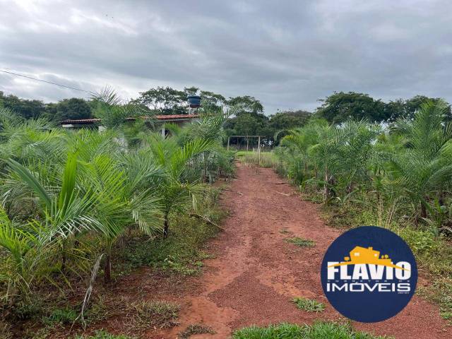 #606 - Chácara para Venda em Bela Vista de Goiás - GO - 2