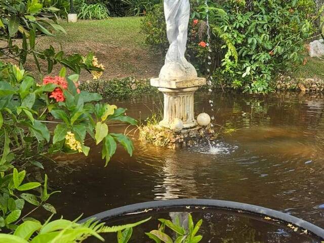 #615 - Chácara para Venda em São Miguel do Passa Quatro - GO - 2