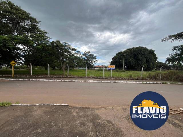 #617 - Área para Venda em Bela Vista de Goiás - GO - 2