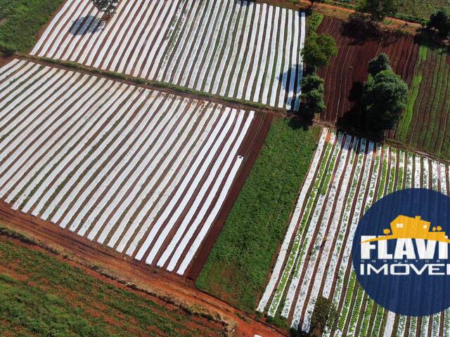 #618 - Chácara para Venda em Bela Vista de Goiás - GO - 2