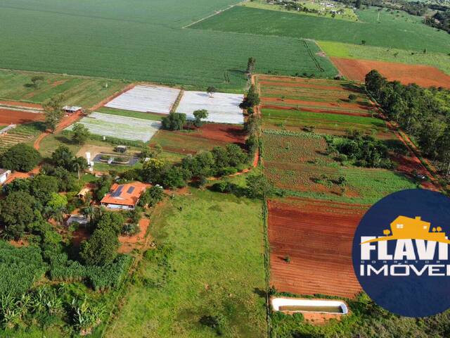 #618 - Chácara para Venda em Bela Vista de Goiás - GO - 3