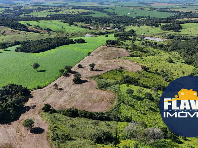 #621 - Chácara para Venda em Bela Vista de Goiás - GO - 2