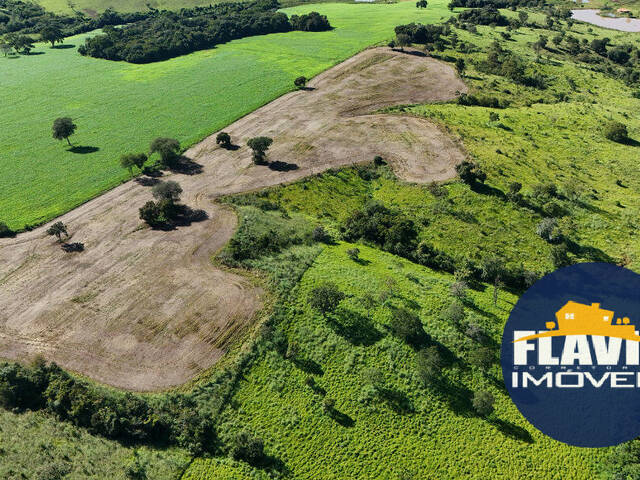 #621 - Chácara para Venda em Bela Vista de Goiás - GO - 3