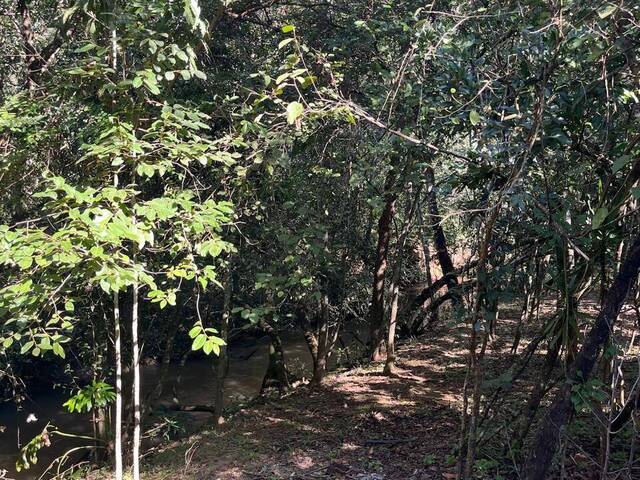 #631 - Chácara para Venda em Bela Vista de Goiás - GO - 2