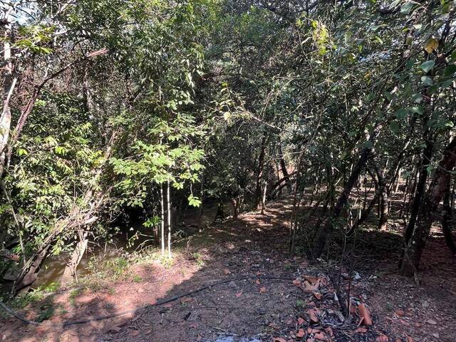 #631 - Chácara para Venda em Bela Vista de Goiás - GO - 3