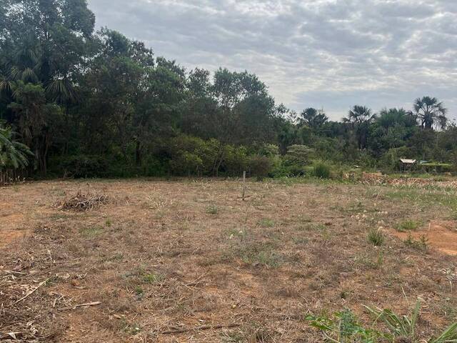 Área para Venda em Bela Vista de Goiás - 4
