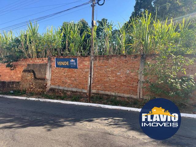Área para Venda em Bela Vista de Goiás - 5